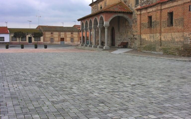 27_3_coca_03_web_pajaresdeadaja