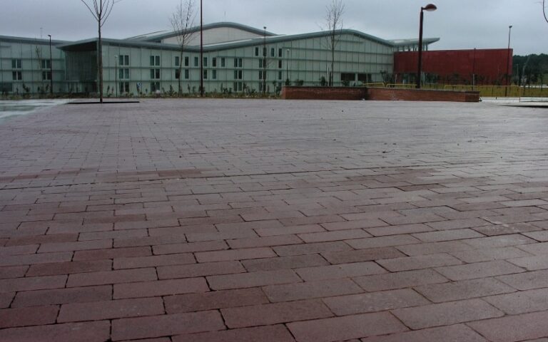 14_2_olmedo_valladolid_web