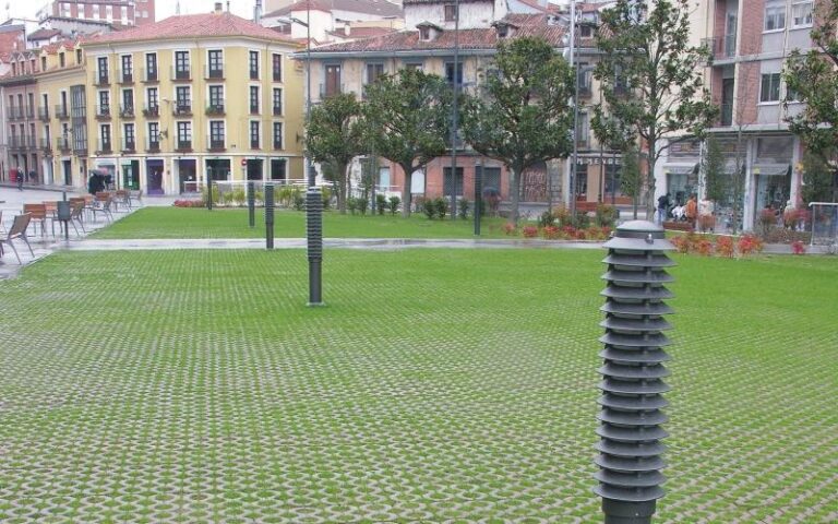 29_1_celosia_eresma_valladolid_1_web