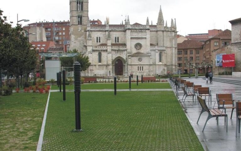 29_3_celosia_eresma_valladolid_3_web-799x499