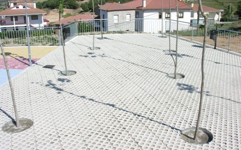 29_4_celosia_eresma_maello_web