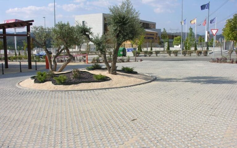 29_6_celosia_eresma_majadahonda_web