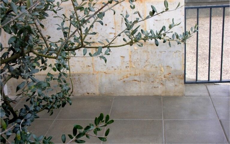 31_2_modelo_valverde_2_web