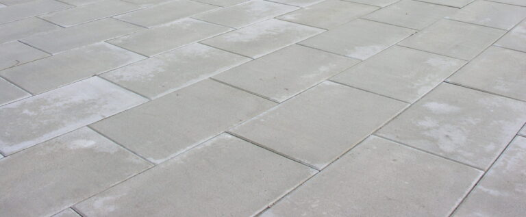 Bernardos en Nava (5)